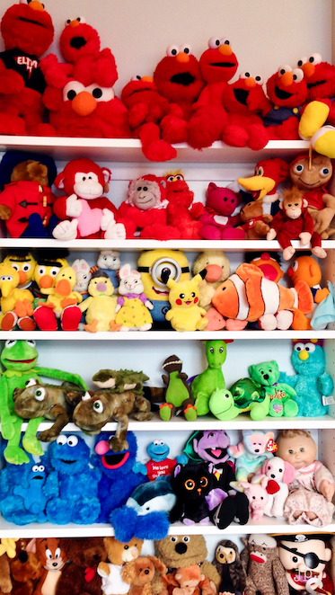 Rainbow Organized Stuffed Animals - Jeffrey Phillip